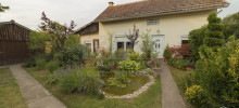 06-07-23-01-ZD