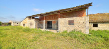 25-04-25-01-ZD