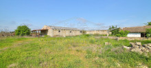 25-04-25-01-ZD